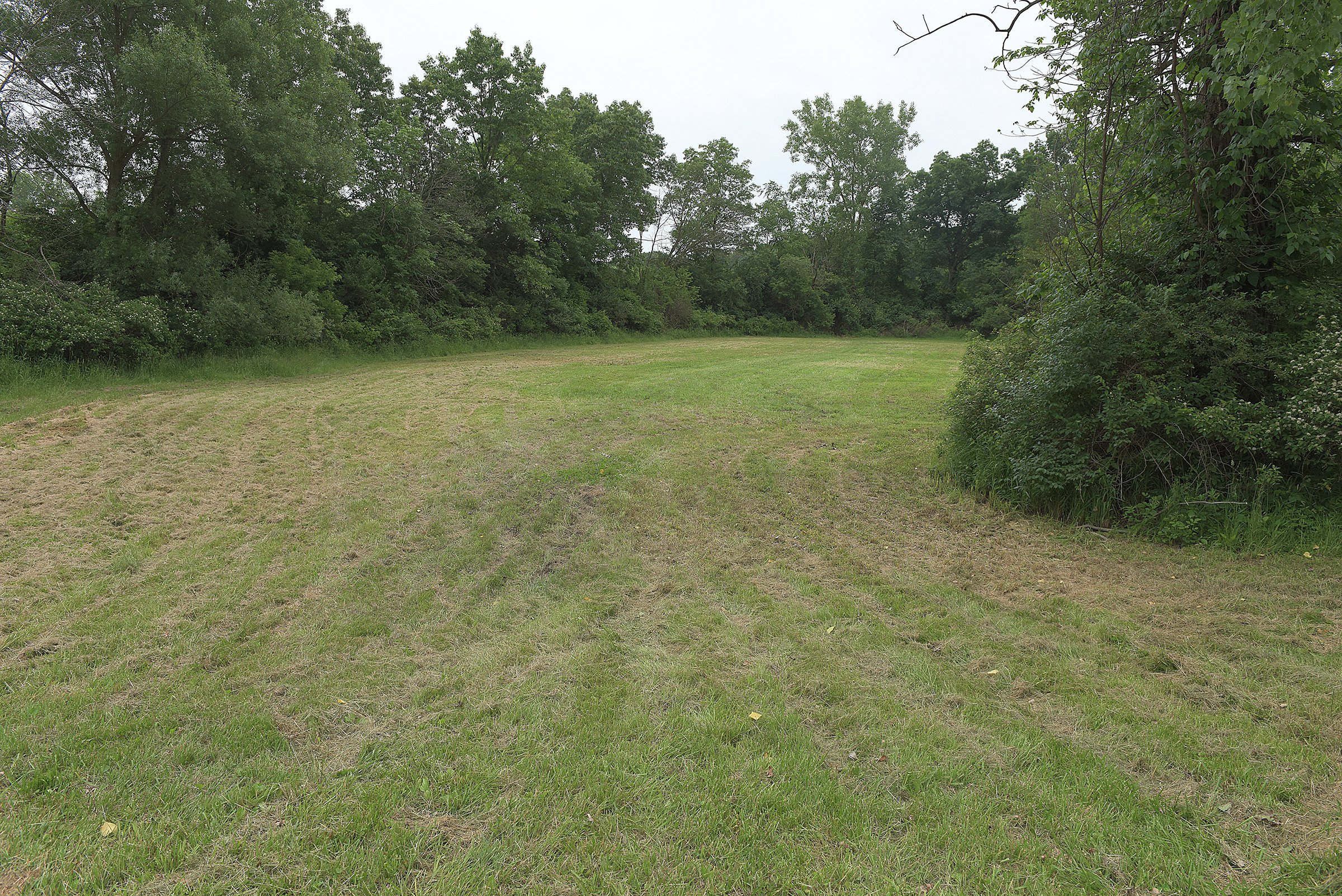 Lake County, Indiana farmland - LAND AUCTION - 147+/- ACRES OFFERED IN 3 TRACTS IN LAKE COUNTY, INDIANA